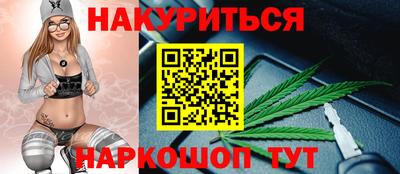 прущие грибы Краснознаменск